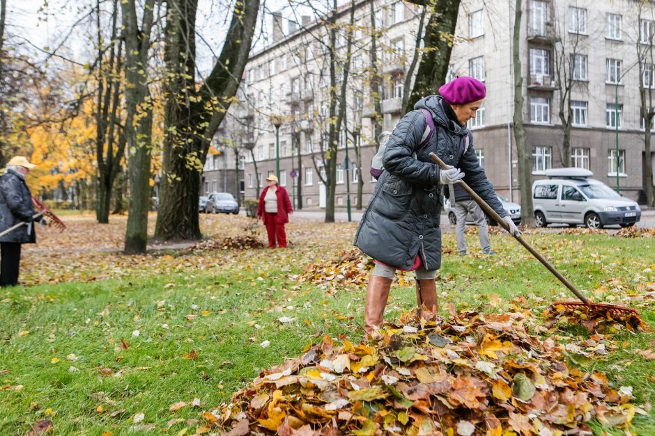 Klaipėdiečiai miesto centre grėbė lapus