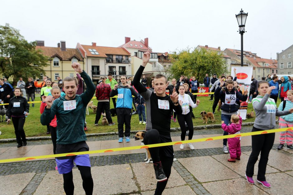 Uostamiestyje – nuotaikingas bėgimas su augintiniais