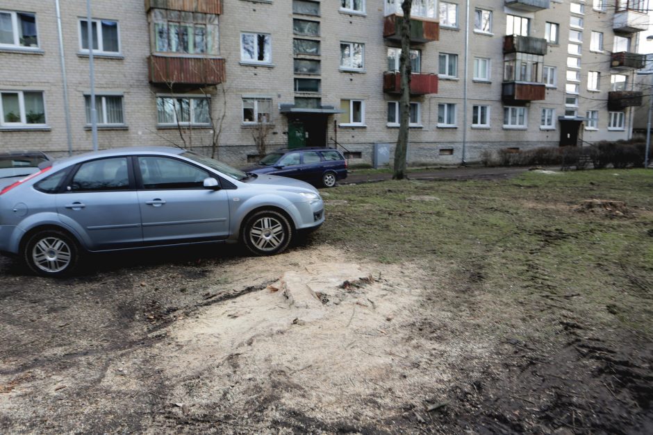 Gyventojai ant medžių kelmų uždegė žvakes