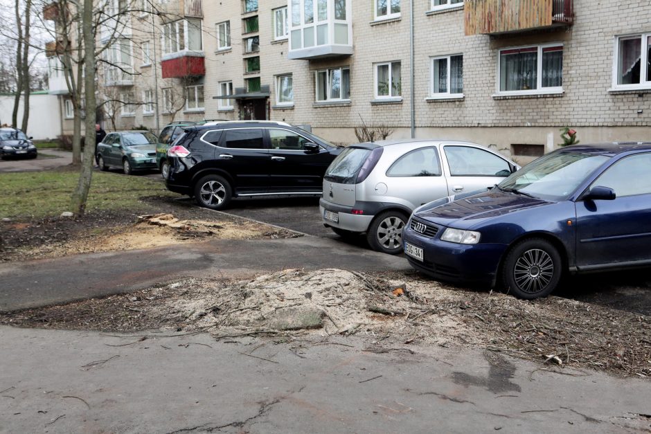 Gyventojai ant medžių kelmų uždegė žvakes