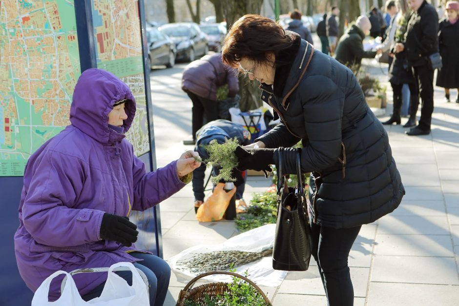 Uostamiestyje – Verbų sekmadienis