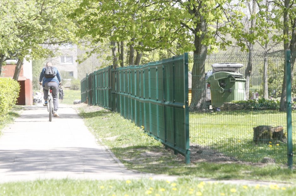 Prie darželių šalinami menkaverčiai medžiai