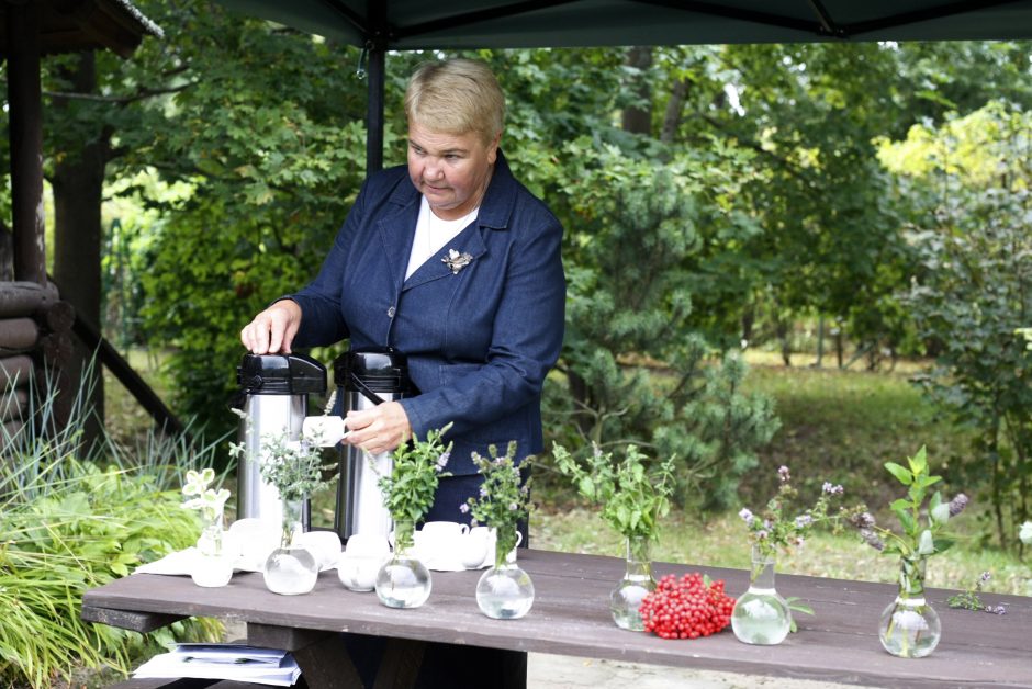 Uostamiestyje kuriami vieninteliai tokie pasaulyje gydantys sodai