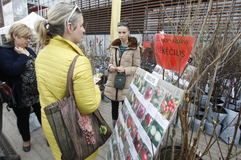 Klaipėdiečiai domisi statybos sektoriaus naujovėmis