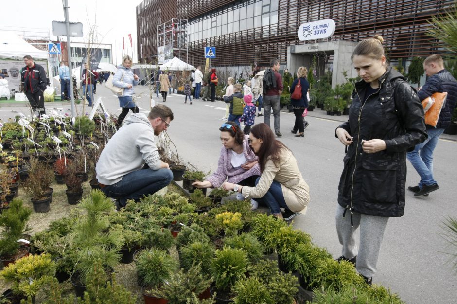 Klaipėdiečiai domisi statybos sektoriaus naujovėmis