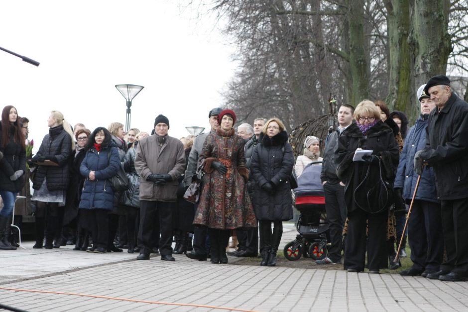 Danės pakrantę papuošė undinėlė