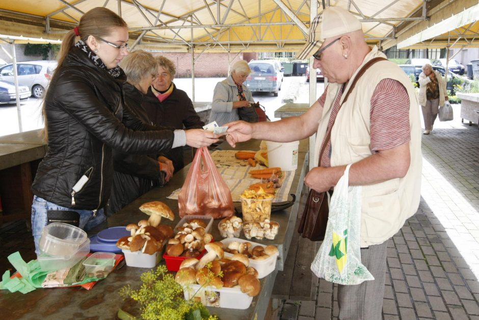 Baravykų derlius šiemet džiugina