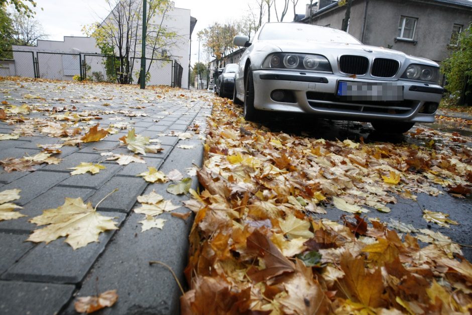 Prapliupus lietui, krintantys lapai pridaro bėdų: technika gatvėse sukinėsis dažniau