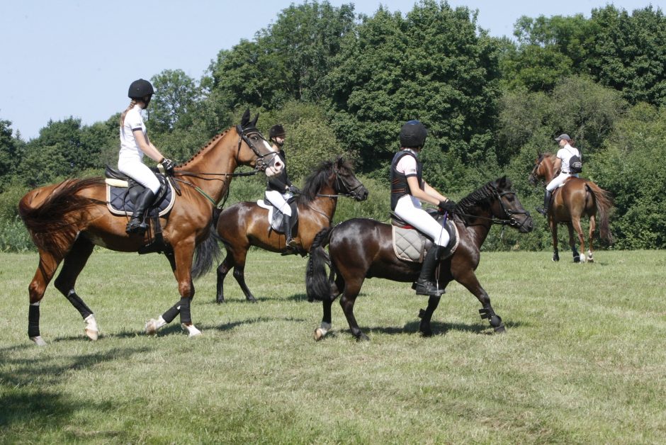 Priekulės miesto ir žirgų sporto šventė