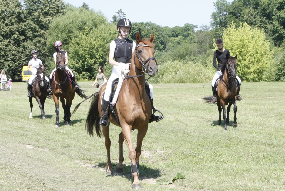 Priekulės miesto ir žirgų sporto šventė