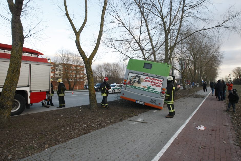 Kraupi avarija Klaipėdoje: autobusas rėžėsi į medį, sužeisti keleiviai