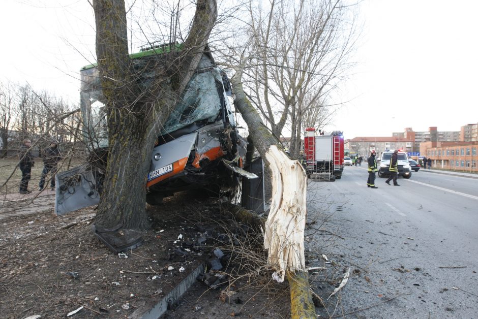 Kraupi avarija Klaipėdoje: autobusas rėžėsi į medį, sužeisti keleiviai