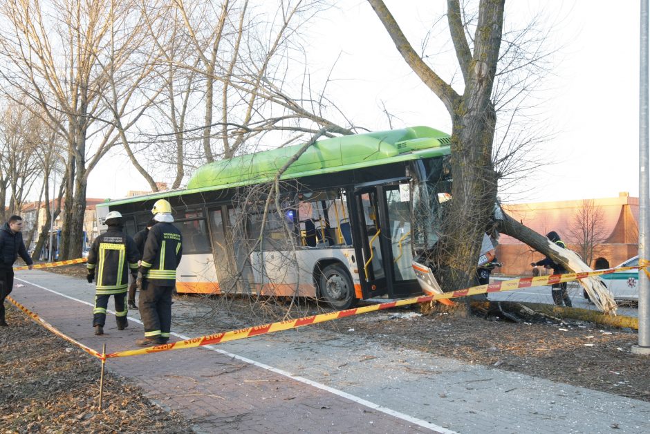 Kraupi avarija Klaipėdoje: autobusas rėžėsi į medį, sužeisti keleiviai