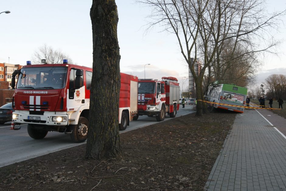 Kraupi avarija Klaipėdoje: autobusas rėžėsi į medį, sužeisti keleiviai