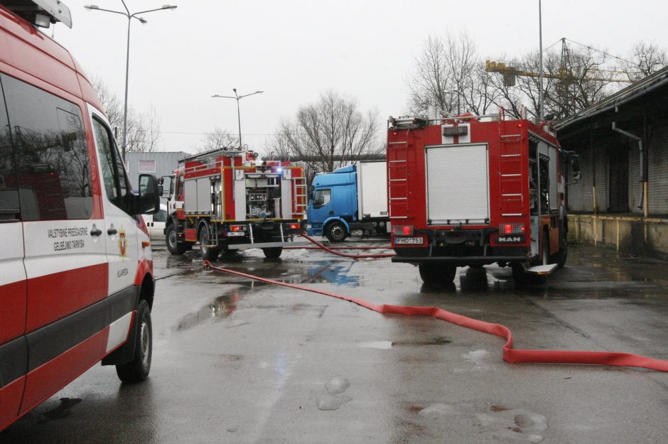 Klaipėdoje vienu metu degė trys automobiliai