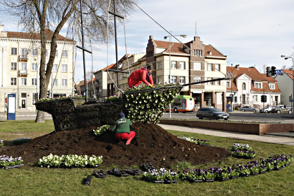 Laivelį papuošė naujos gėlės