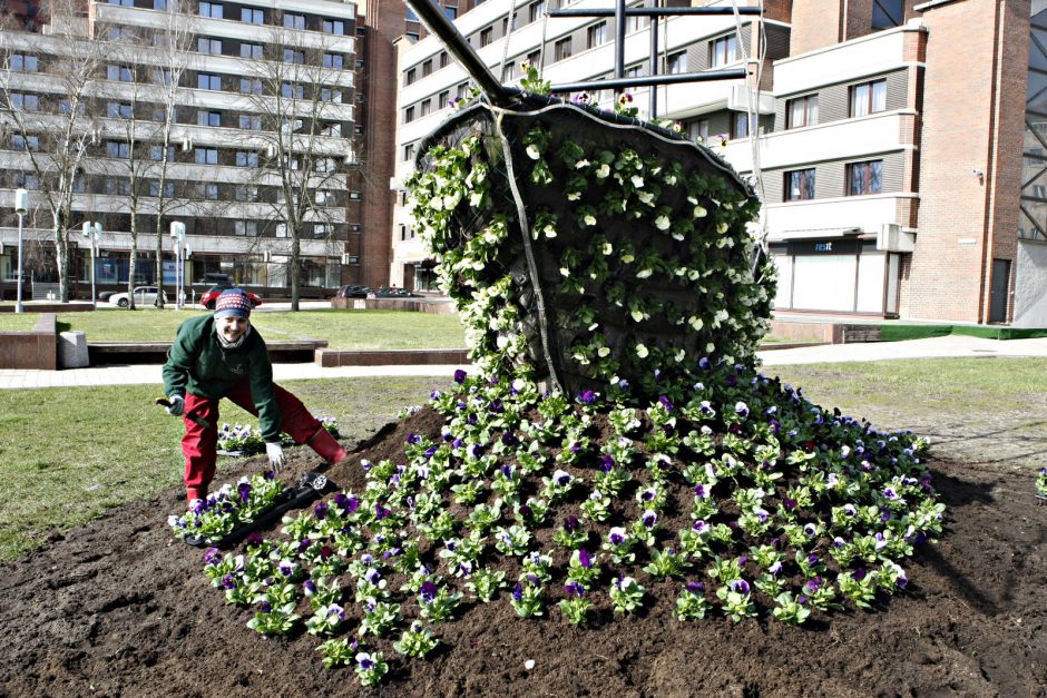 Laivelį papuošė naujos gėlės