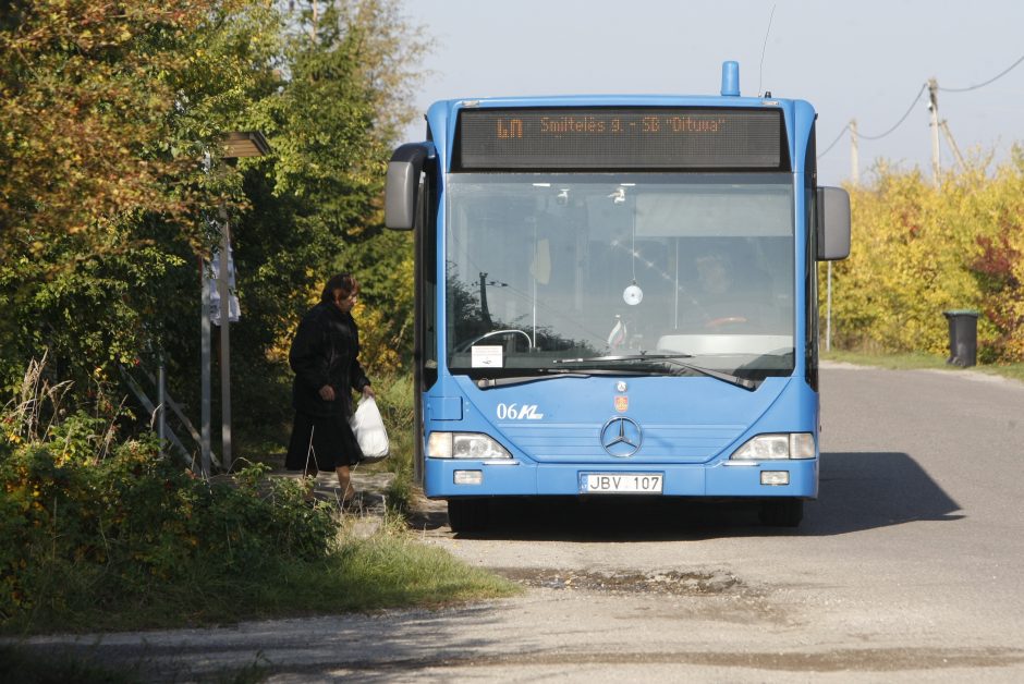 Gyventojai pasipiktinę: sodams gresia likvidacija?