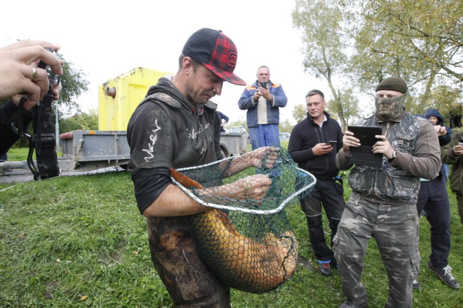 Trinyčiuose apgyvendintas žmogaus dydžio šamas