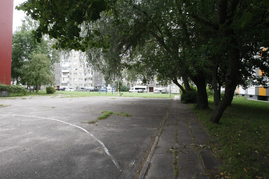 Klaipėdos daugiabučių namų kieme pavojus dėl medžių: žmonės baiminasi nelaimių