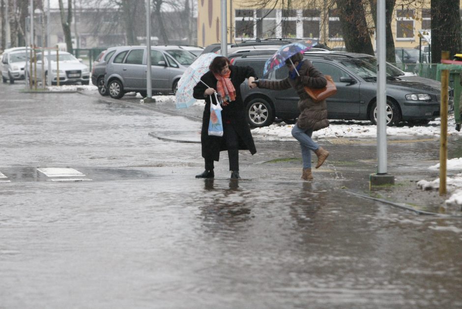 Lapkričio 14-oji – Klaipėdos diena