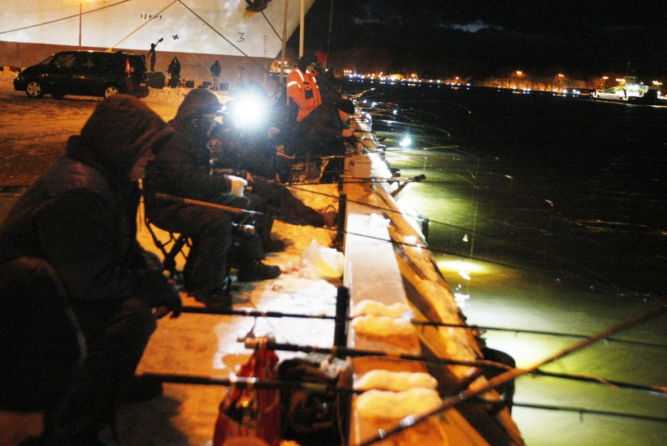 Stintų žvejyba uostamiestyje – „ant bangos“