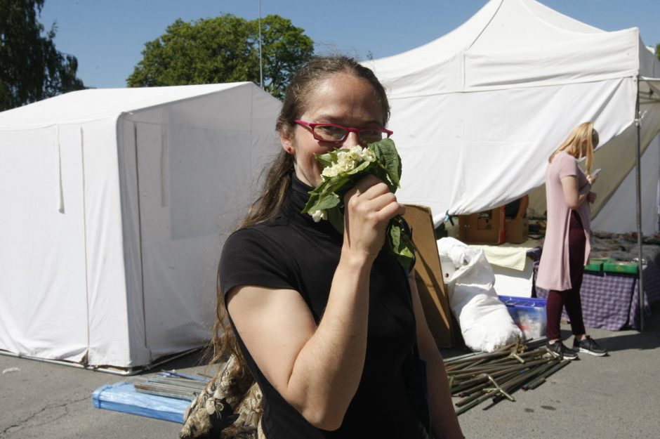 Kretingą užliejo nuotaikinga miesto šventė