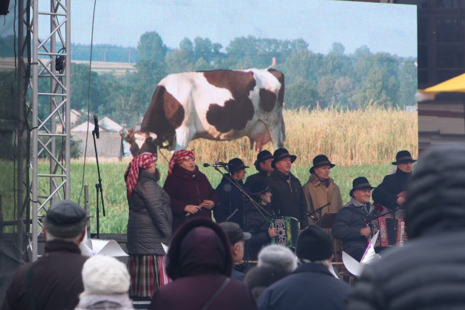 Kazimierų vardynos virto viso miesto švente