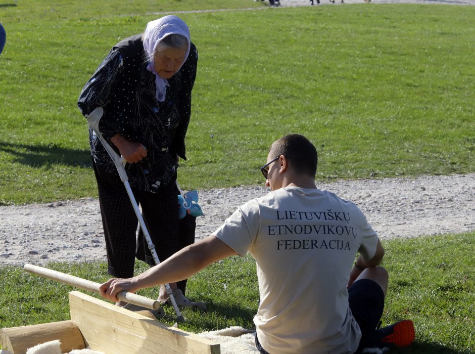 „Laisvės pikniko“ pramogos