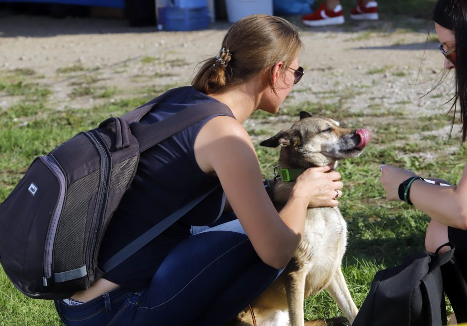 „Laisvės pikniko“ vakarinė dalis