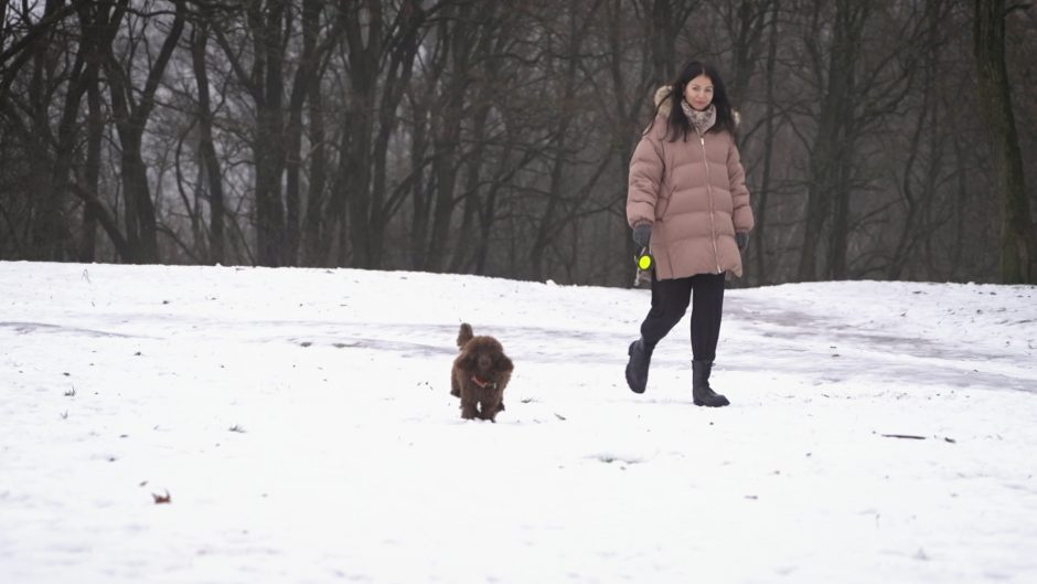 Garsių šeimininkų augintiniai – mylimi ir laimingi