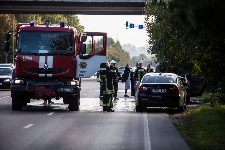 Prie Kleboniškio tilto supleškėjo automobilis