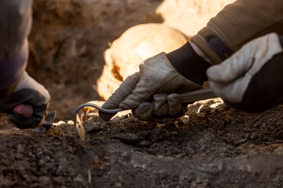 Ignalinos rajone rasta žmogaus kaukolė ir kaulų fragmentai