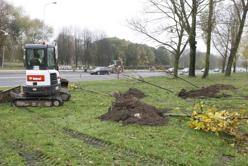 Rekonstrukcijos baigiamieji darbai: Mokyklos gatvėje sodina medelius