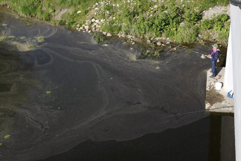 Teršalai Dangėje: į upę vėl plūdo naftos produktai