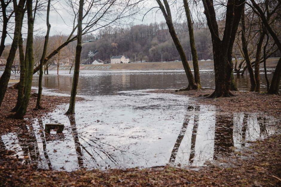 Nemunas lipa iš krantų: užlieta Santaka, vanduo pakilęs ir kitose vietose