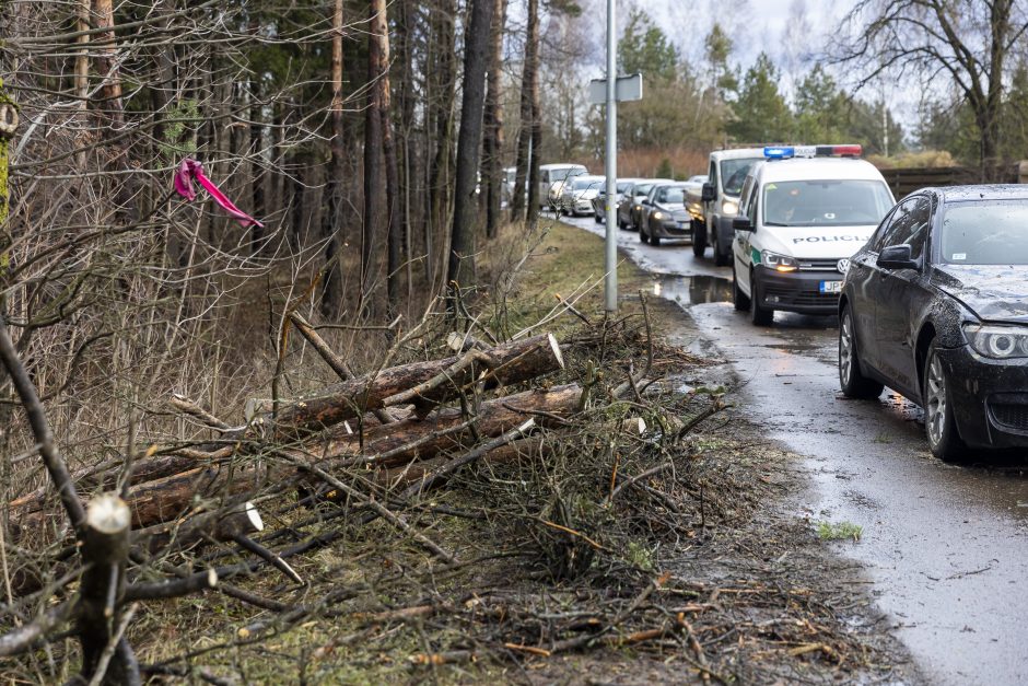 Stipraus vėjo padariniai Vilniaus mieste ir apylinkėse