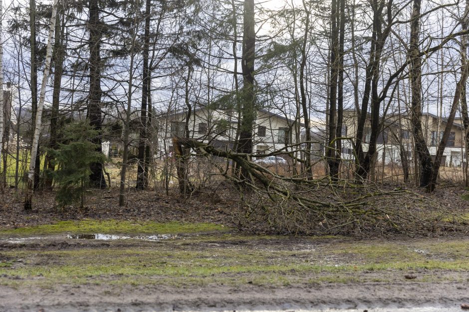 Stipraus vėjo padariniai Vilniaus mieste ir apylinkėse