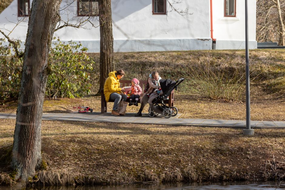 Botanikos sode tropiniai drugiai