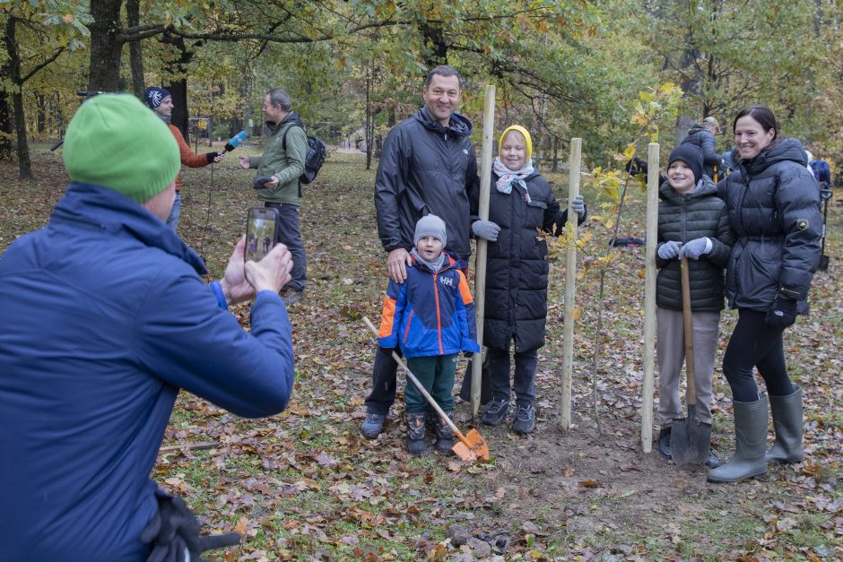 Kauno Ąžuolyno atgimimas tęsiasi: parką papildė nauji medeliai