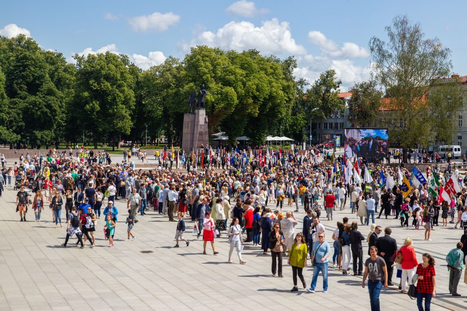 Miestų ir miestelių vėliavų pagerbimo ceremonija