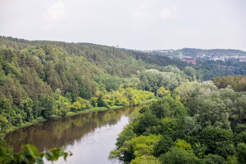 Patiks ne tik bėgikams: pristatė šimto kilometrų maršrutą aplink sostinę