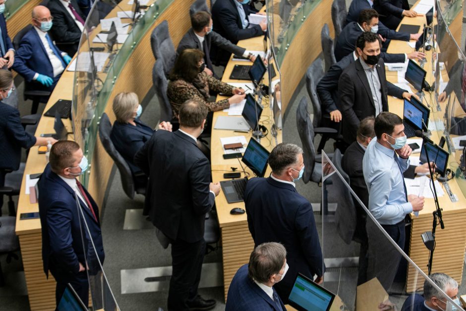 Seimas būtų linkęs turėti parlamento nuolatinį atstovą ne tik ES