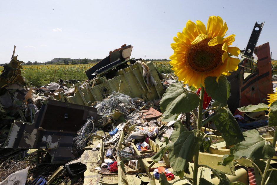 MH17 katastrofos tyrimas vyksta per lėtai?