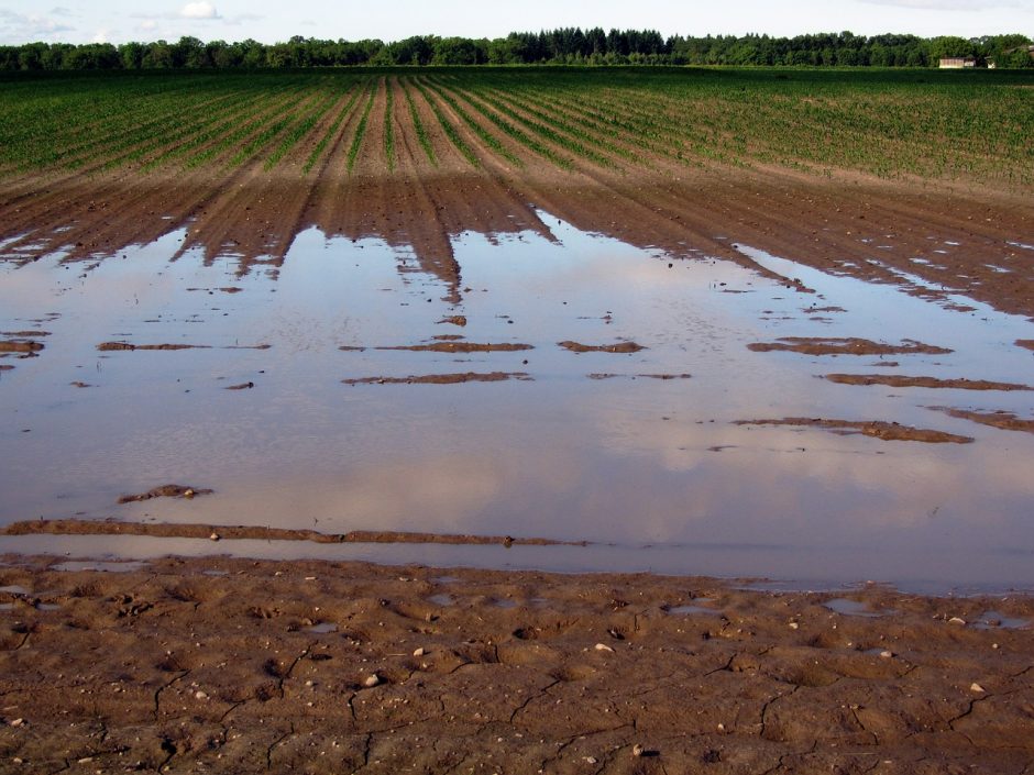 Daugėja rajonų, dėl liūčių skelbiančių ekstremalią situaciją