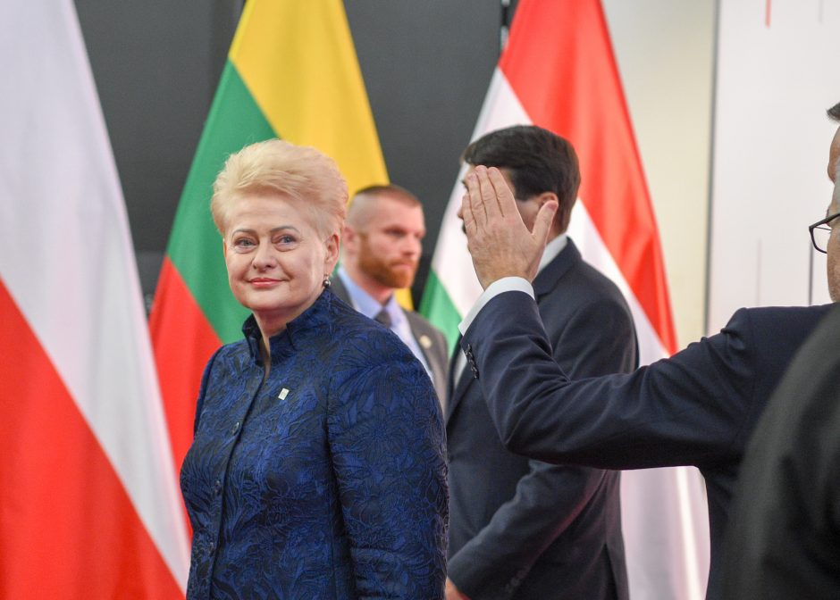 D. Grybauskaitė – NATO valstybių vadovų susitikime