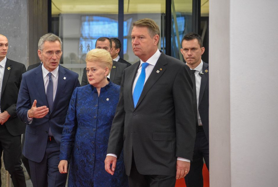 D. Grybauskaitė – NATO valstybių vadovų susitikime