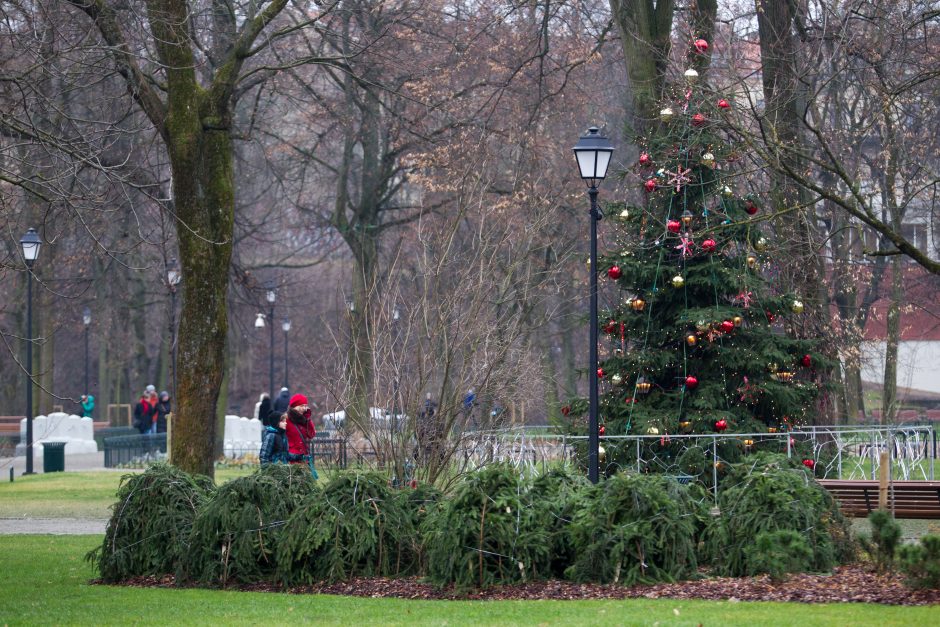 Orai: paskutinį metų savaitgalį – pilkas vaizdelis