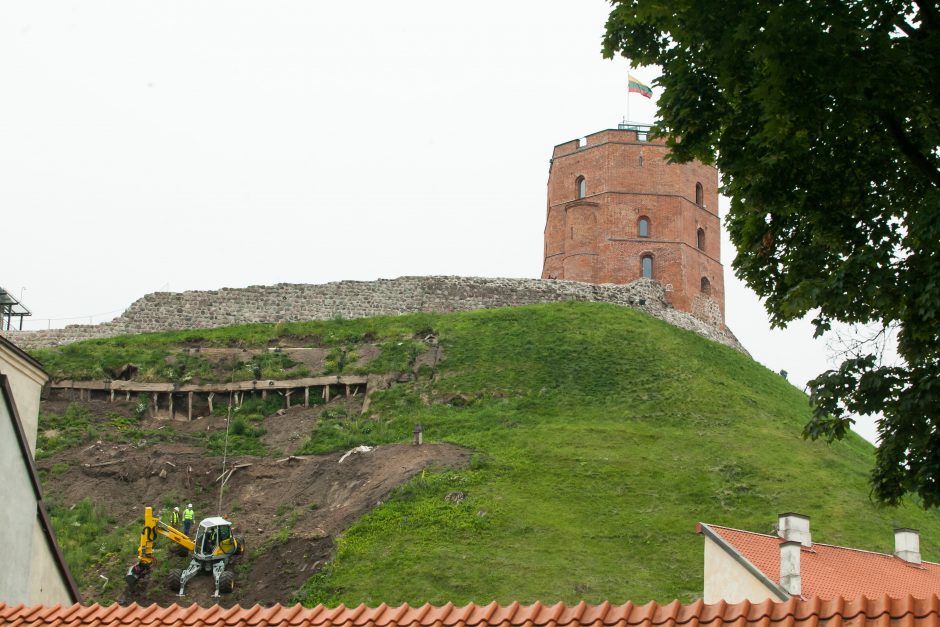 Gedimino kalno šlaitų sutvirtinimui – lietuvių sukurtas augalas?