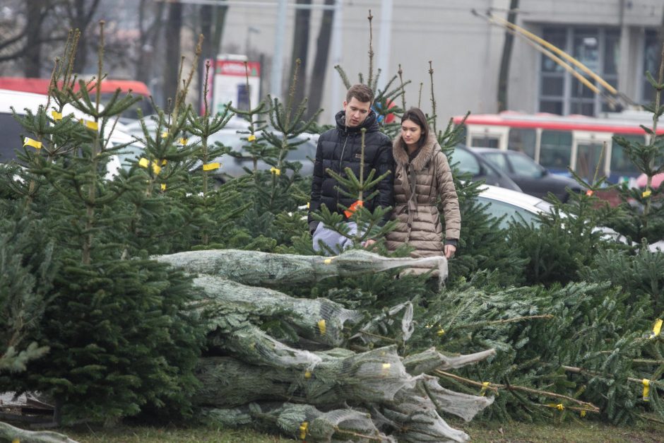 Laukia šiltas, vėjuotas ir lietingas savaitgalis